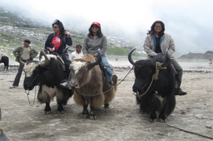 Leh Ladakh