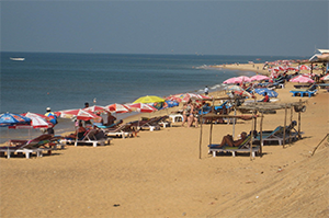 goa