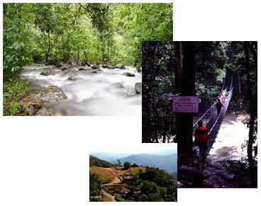 kodagu